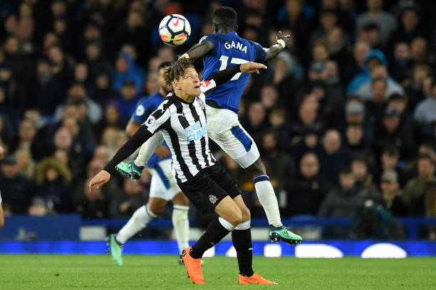 凡的指导能 凡的指导能