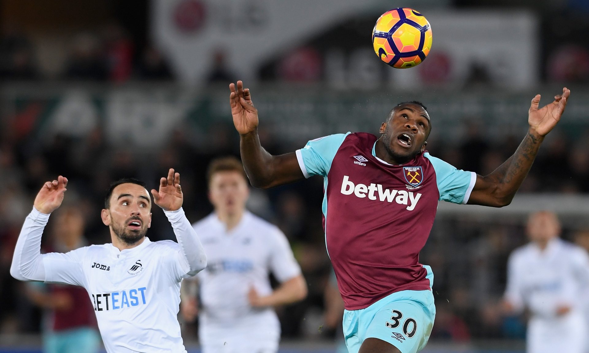 年轻的西班 年轻的西班